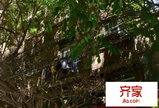 蘭州針織廠家屬院外景圖 