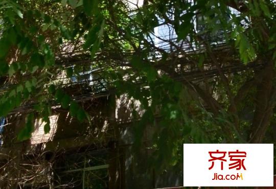 蘭州針織廠家屬院外景圖 