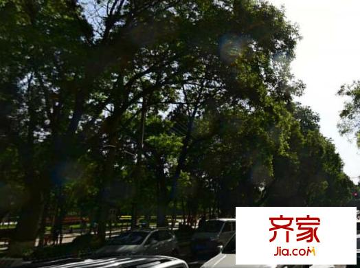 甘肅省七三局省外貿局家屬院外景圖 
