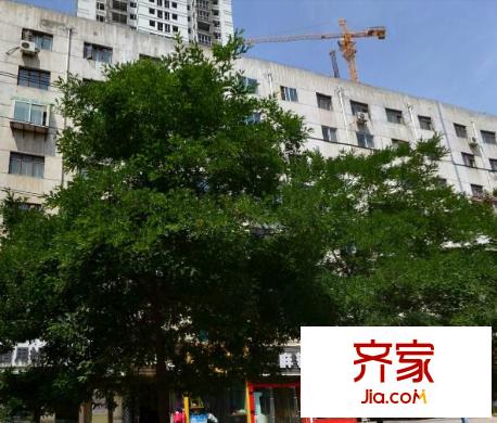 墨居苑外景圖 