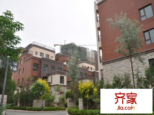 薇樂花園別墅周圍綠化（2014-05）