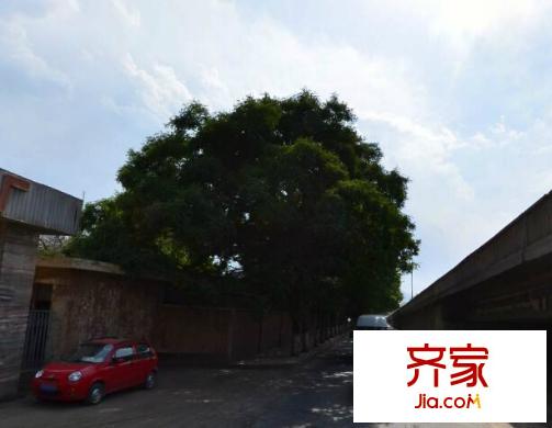 蘋果園小區(qū)外景圖 