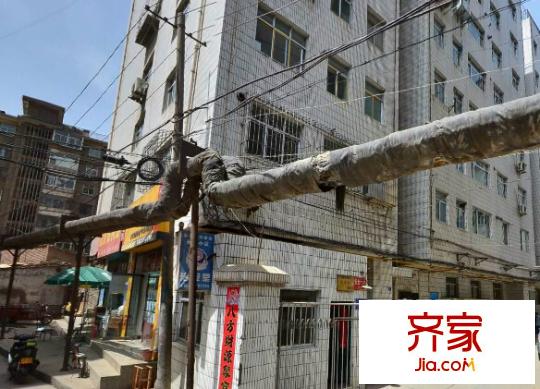 永利小區(qū)外景圖 
