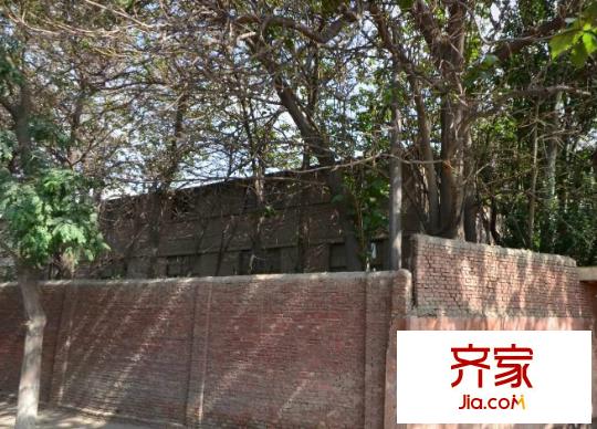 蘋果園小區(qū)外景圖 
