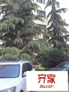 外貿(mào)公司家屬院(南濱河路)外景圖外貿(mào)公司家屬院（南濱河路） 