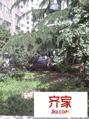 外貿(mào)公司家屬院(南濱河路)外景圖外貿(mào)公司家屬院（南濱河路） 