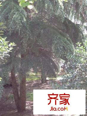 外貿(mào)公司家屬院(南濱河路)外景圖外貿(mào)公司家屬院（南濱河路） 