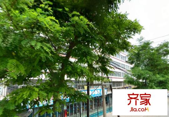 華坪小區(qū)外景圖 