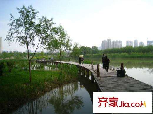 銀灘雅苑配套圖周邊配套 濕地公園木棧道