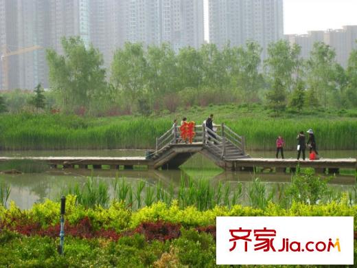 銀灘雅苑配套圖周邊配套 濕地公園