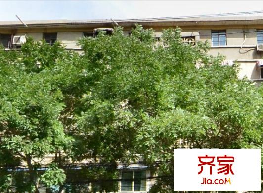 市環(huán)保局家屬院外景圖金昌南路 
