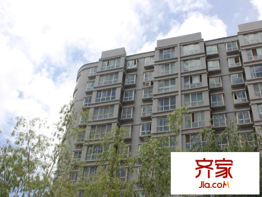 長江北岸星座