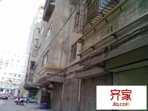 金鵬