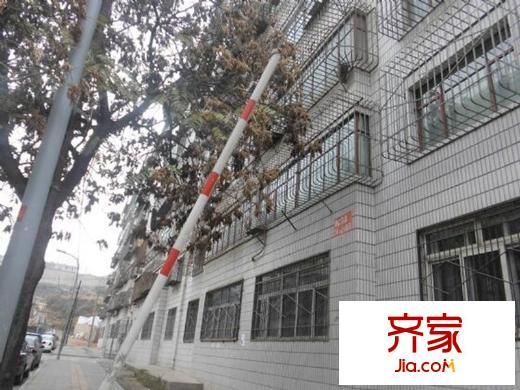 西北中學(xué)電力小區(qū)外景圖 