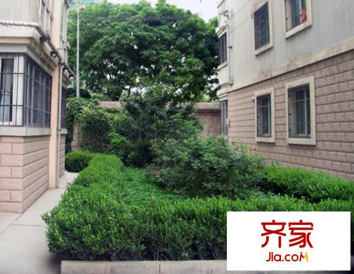 東崗新家園