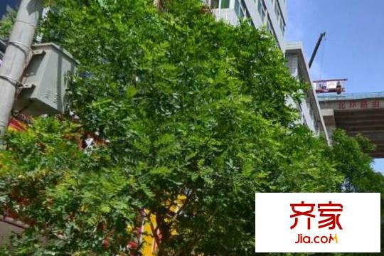 九州奔馬家屬院外景圖 