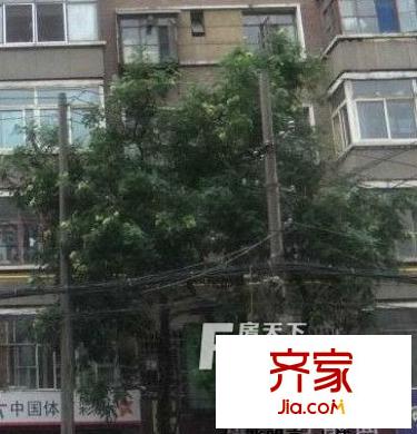 甘南路省政府家屬院外景圖 