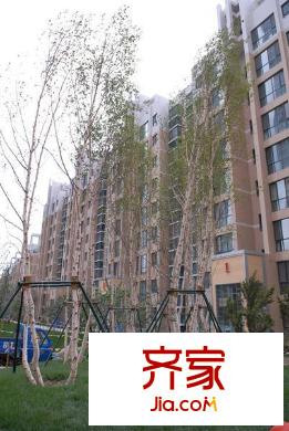 黃河北十中旁