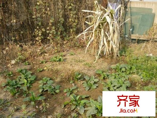 中街子殘聯(lián)家屬樓外景圖 