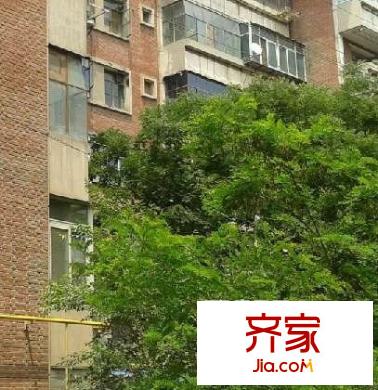 機車廠四區(qū)家屬院外景圖 