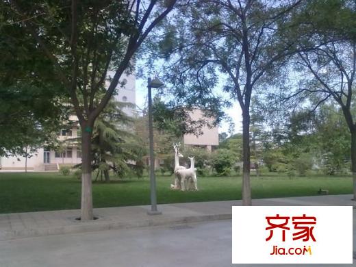 西地所家屬院外景圖 