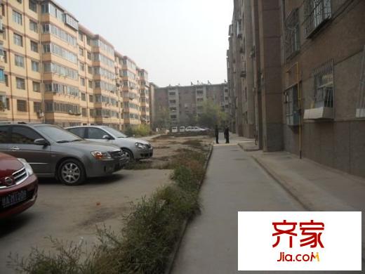 長風東苑小區(qū)外景圖 