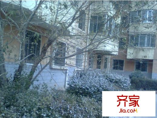 秀川四零四安居小區(qū)外景圖 