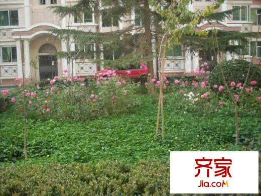 膠鞋廠小區(qū)外景圖 