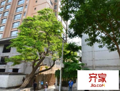 國資物業(yè)市政府山字石住宅區(qū)外景圖  