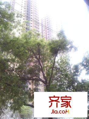 市委新高層外景圖 