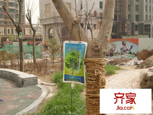 天居錦河丹堤項目小區(qū)園林（2014-5）