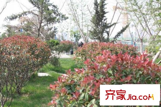 天居錦河丹堤周邊市政公園