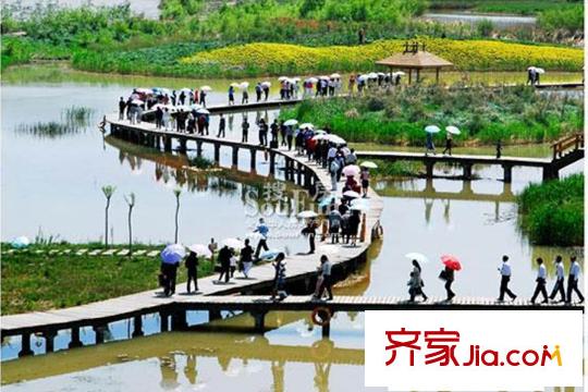 天居錦河丹堤周邊濕地公園