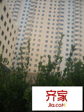 酒泉御園外景圖 