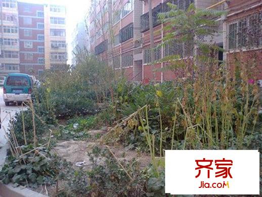 九州陽光家園外景圖 