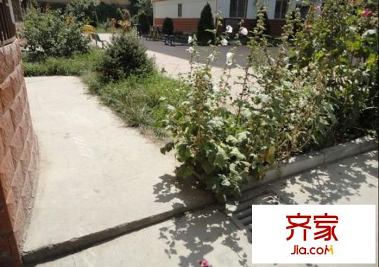 甘南小區(qū)外景圖 