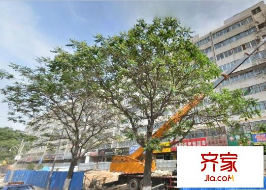 園丁小區(qū)外景圖 