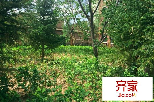 重邦康城小區(qū)園林（2015-08-06）