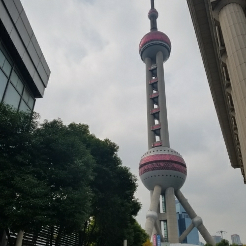 想取個美名