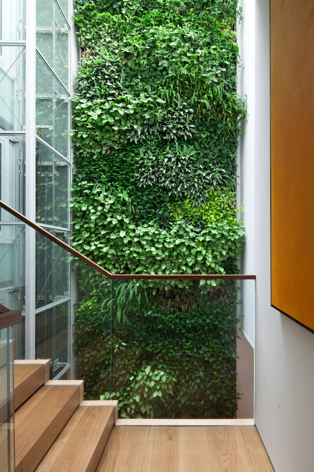 现代风别墅绿植墙装修效果图
