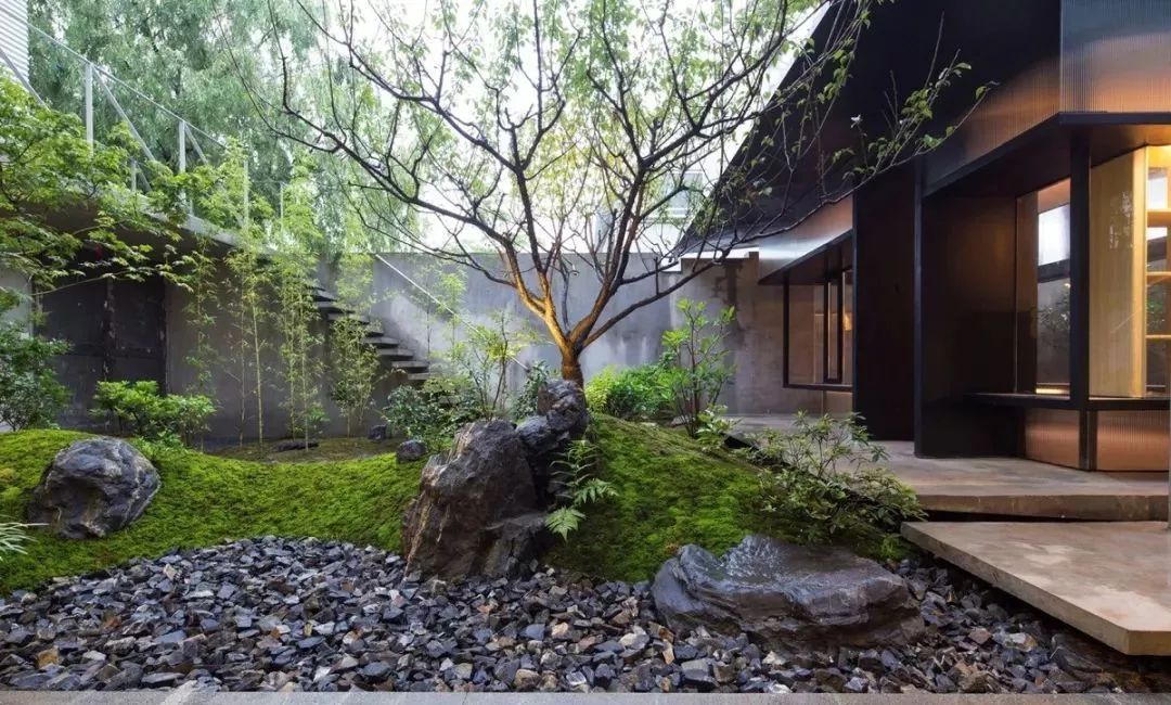 庭院不必是平的 一些小山丘带来一丝野性