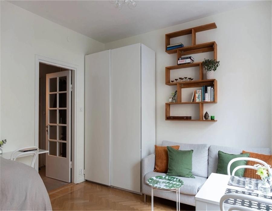 現(xiàn)代風(fēng)一居室設(shè)計(jì)