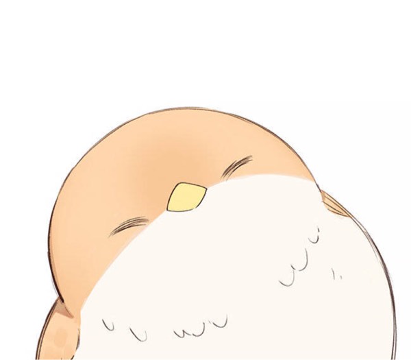 變身兔子的鑰匙星