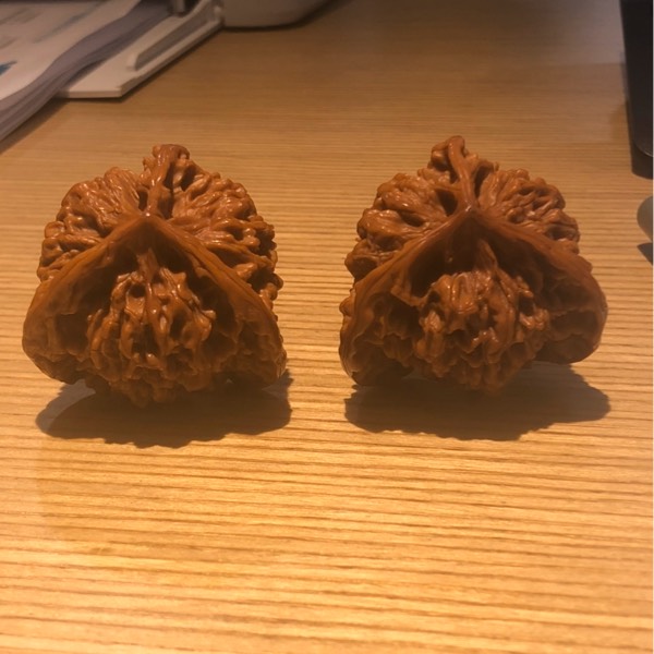 一入齊家深似海