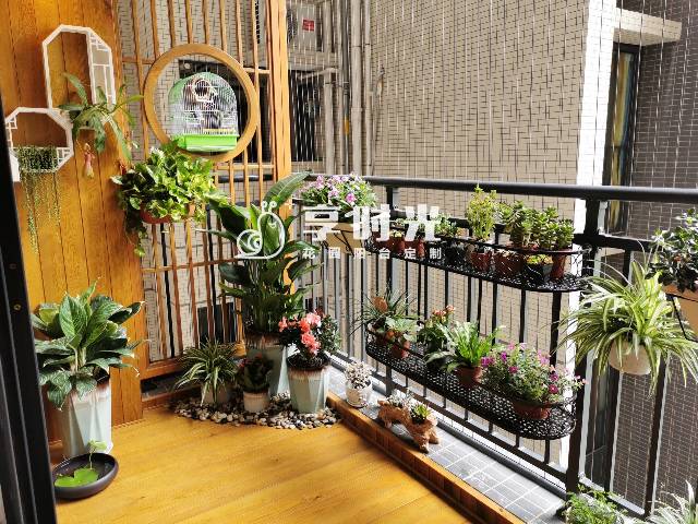 享时光阳台装成小花园告别平庸大白墙