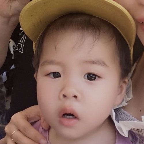 宸汐