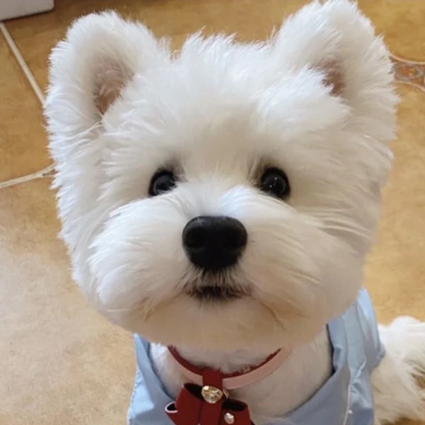 穆