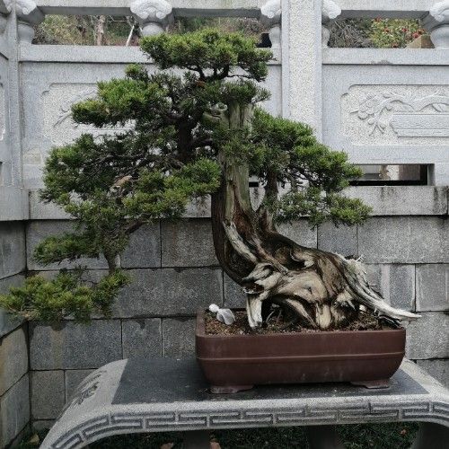 齊家用戶ffJFiPI5dA