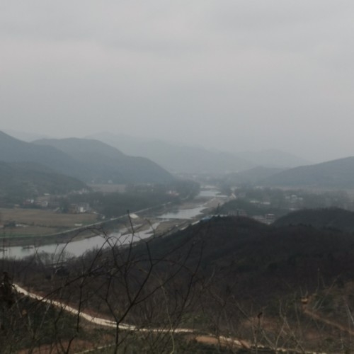 偉
