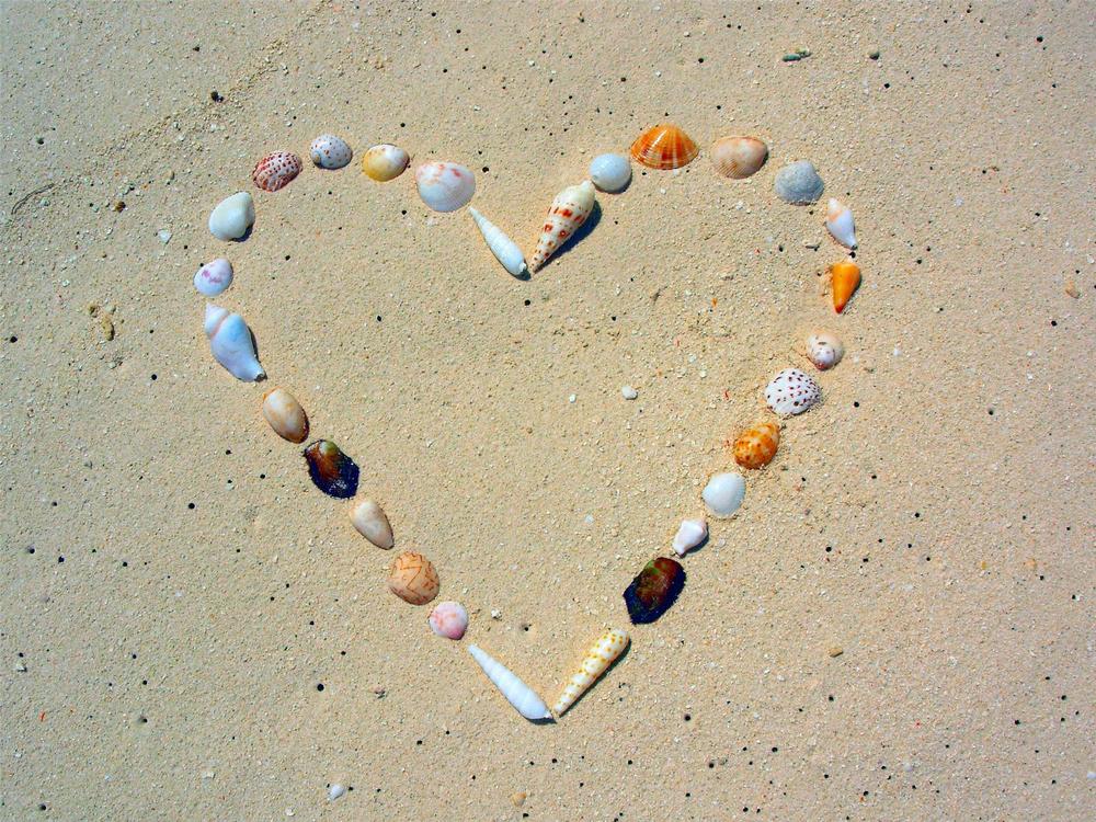 王八看绿豆,对上眼了就可以!恋爱结婚,更多的是